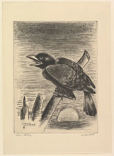 Crow Calling