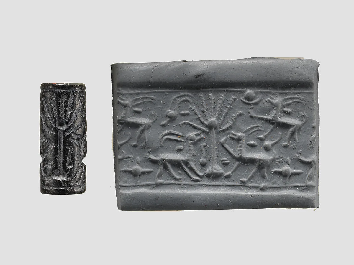 Cylinder seal — Unknown