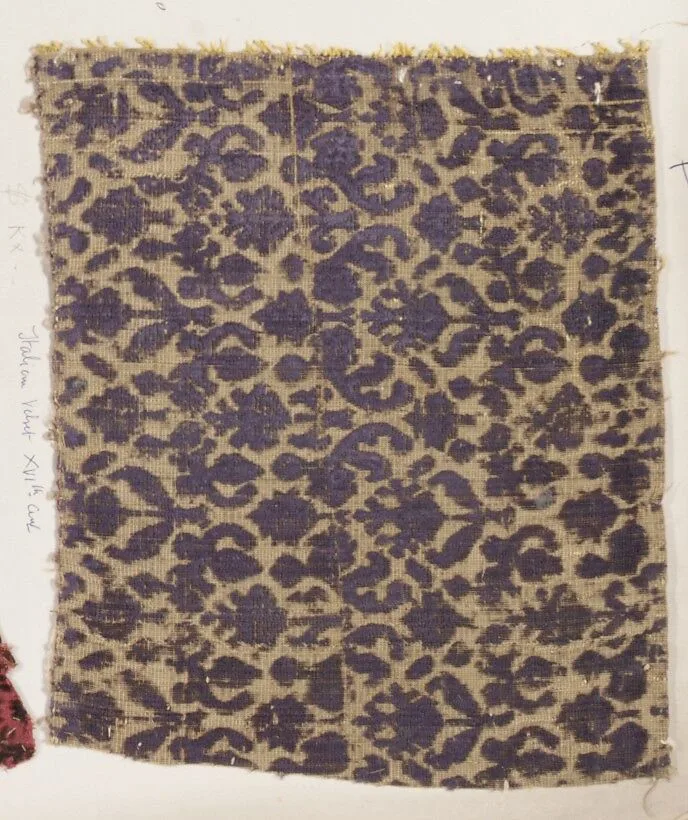 Fragment — Unknown