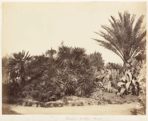 Pincian Garden, Rome
