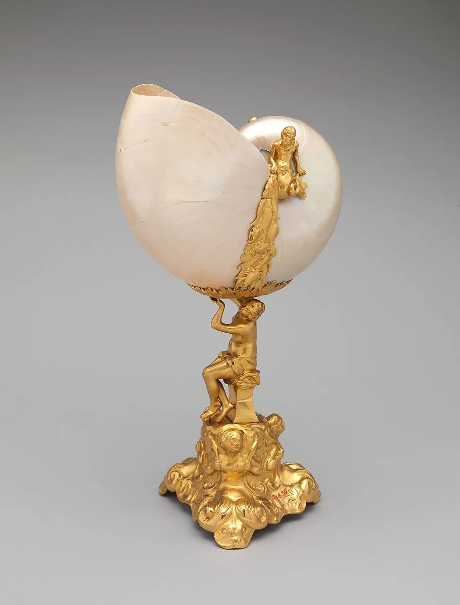 Nautilus shell — Franchi and Son