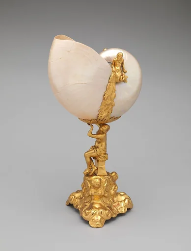 Nautilus shell