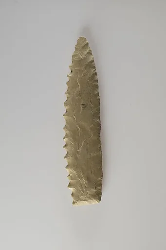 Bifacial Sickle Insert