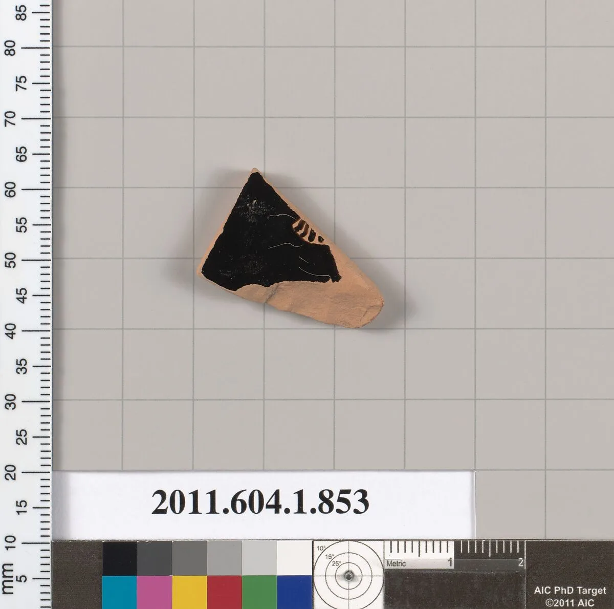 Terracotta fragment of a kylix (drinking cup) — Unknown