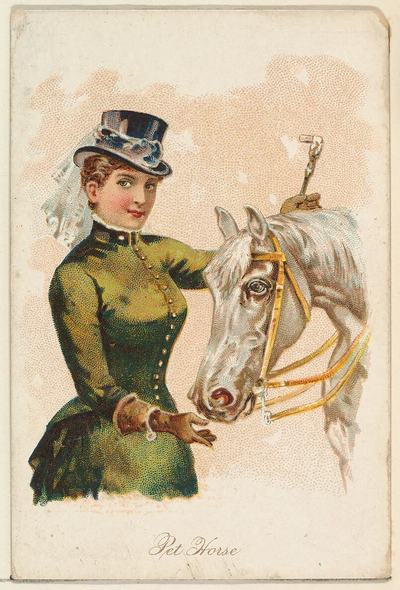 Pet Horse, from the Household Pets series (N194) issued by Wm. S. Kimball & Co. — Julius Bien & Co.|William S. Kimball & Company|American Tobacco Company