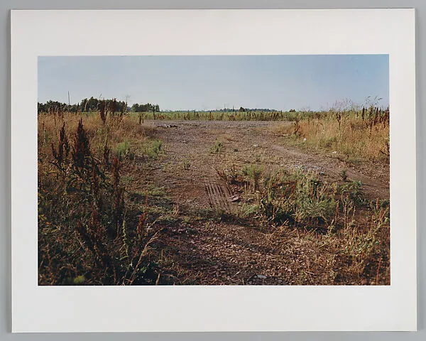 Untitled — William Eggleston