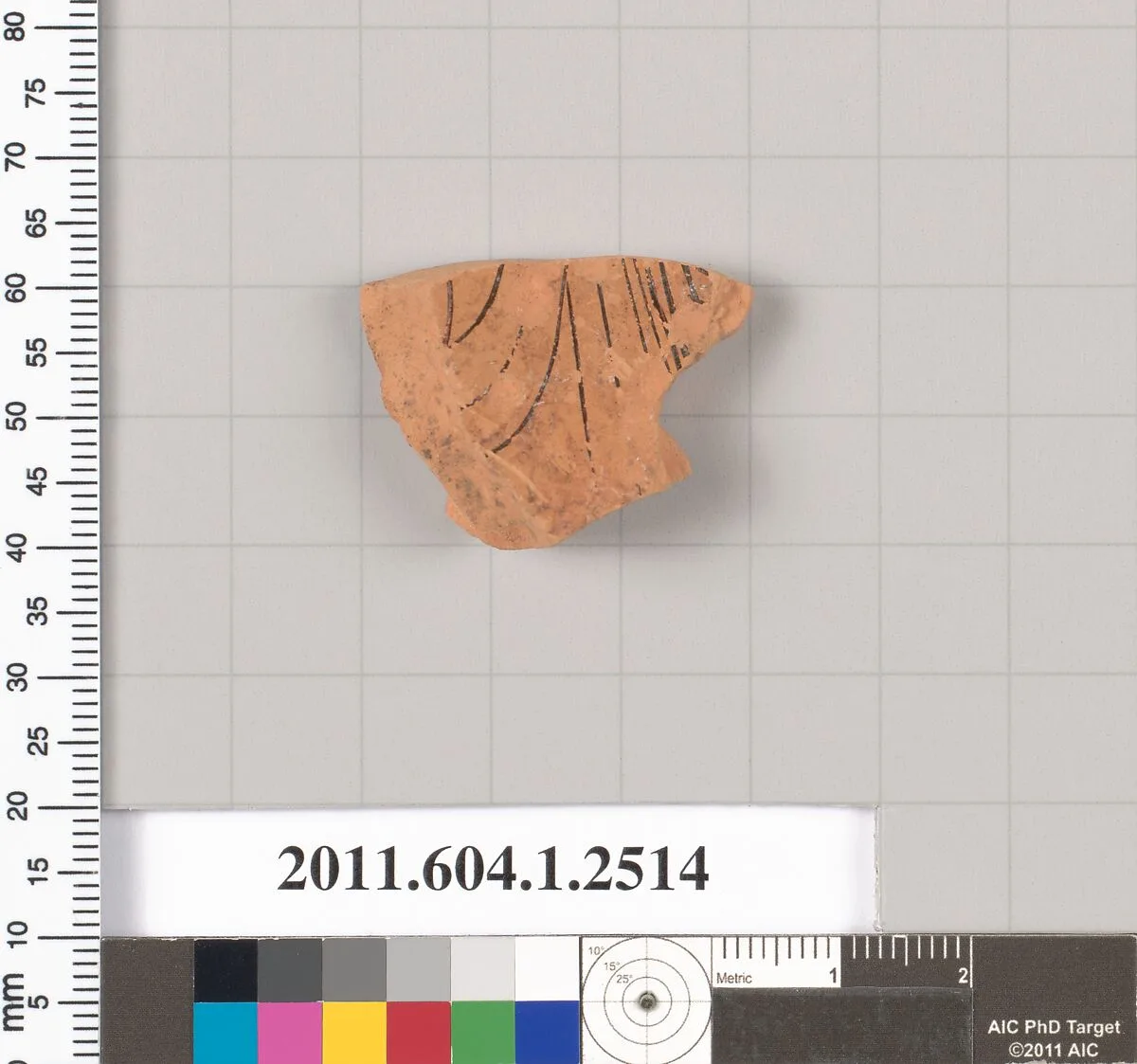 Terracotta fragment of a kylix (drinking cup) — Unknown