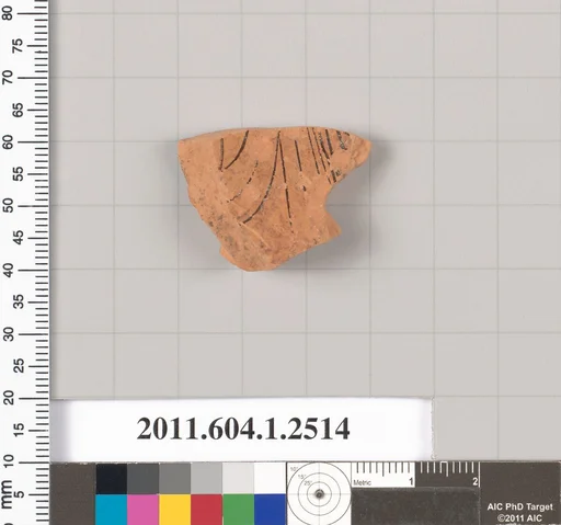 Terracotta fragment of a kylix (drinking cup)