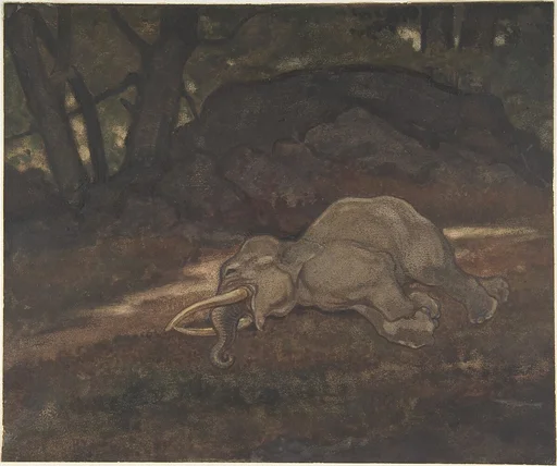 Sleeping Elephant