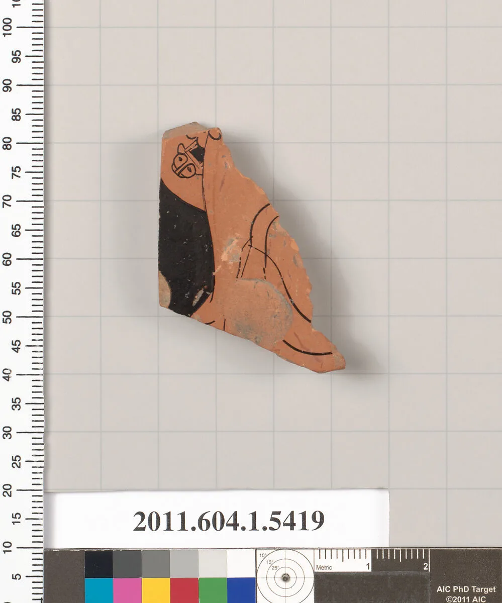 Terracotta fragment of a kylix (drinking cup) — Unknown