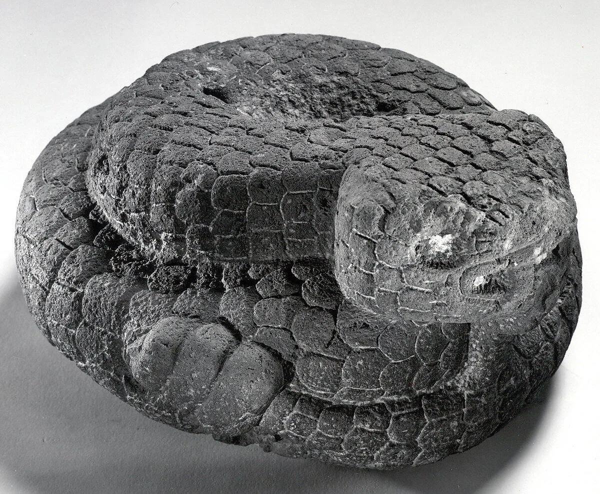 Coiled Serpent — Unknown