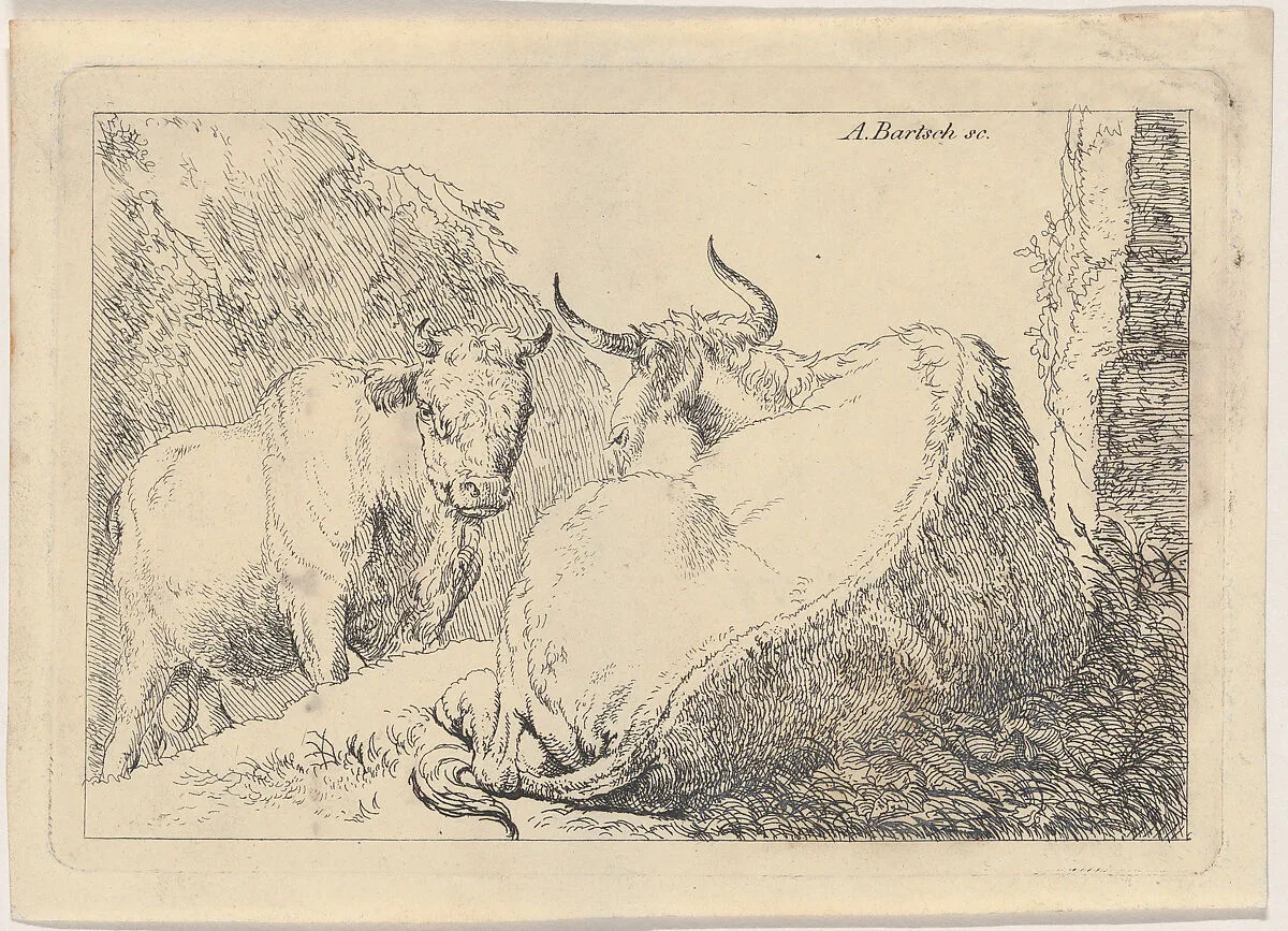 A reclining cow, seen from behind — Johann Heinrich Roos|Adam von Bartsch