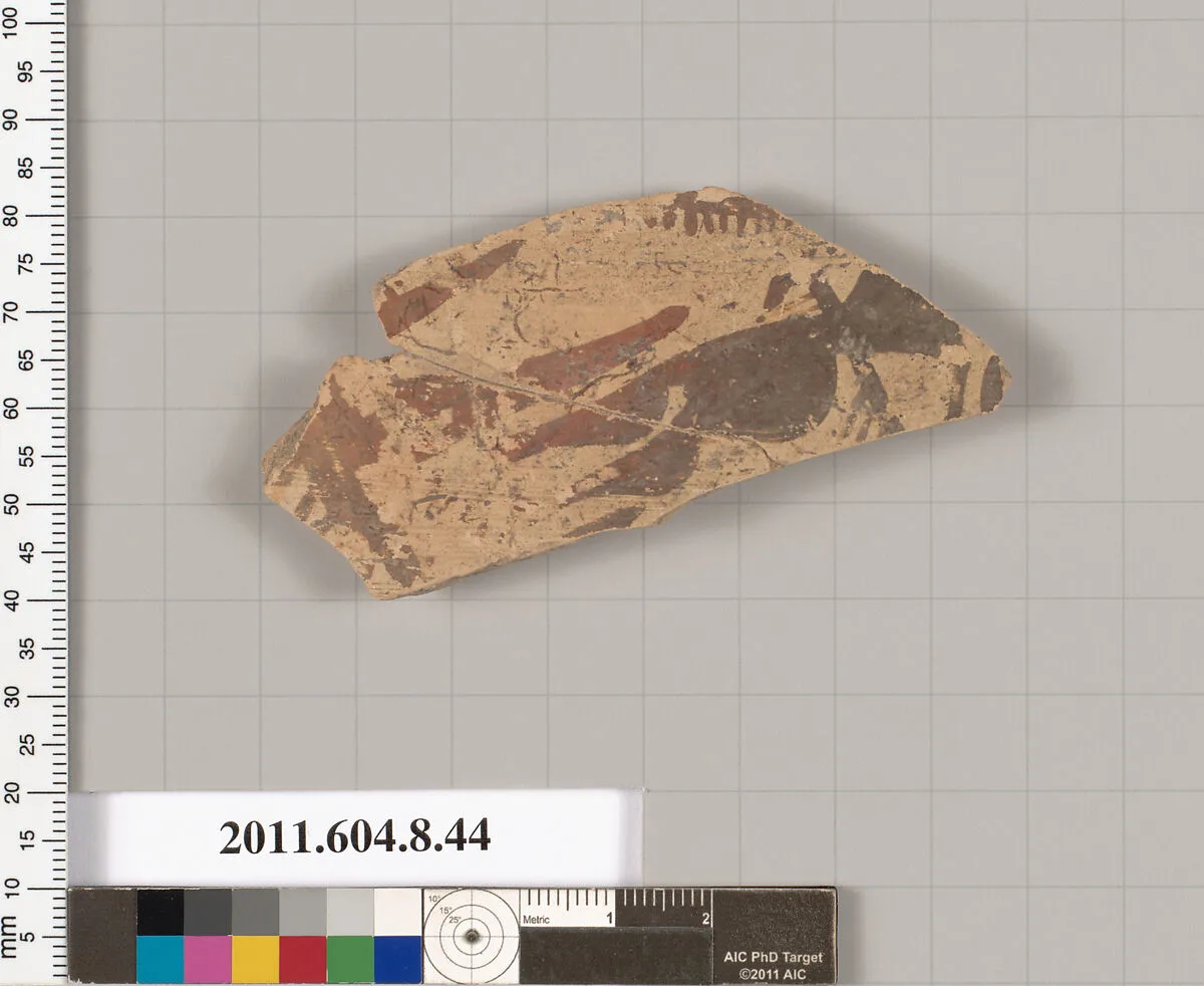 Terracotta fragment of a closed shape — Unknown