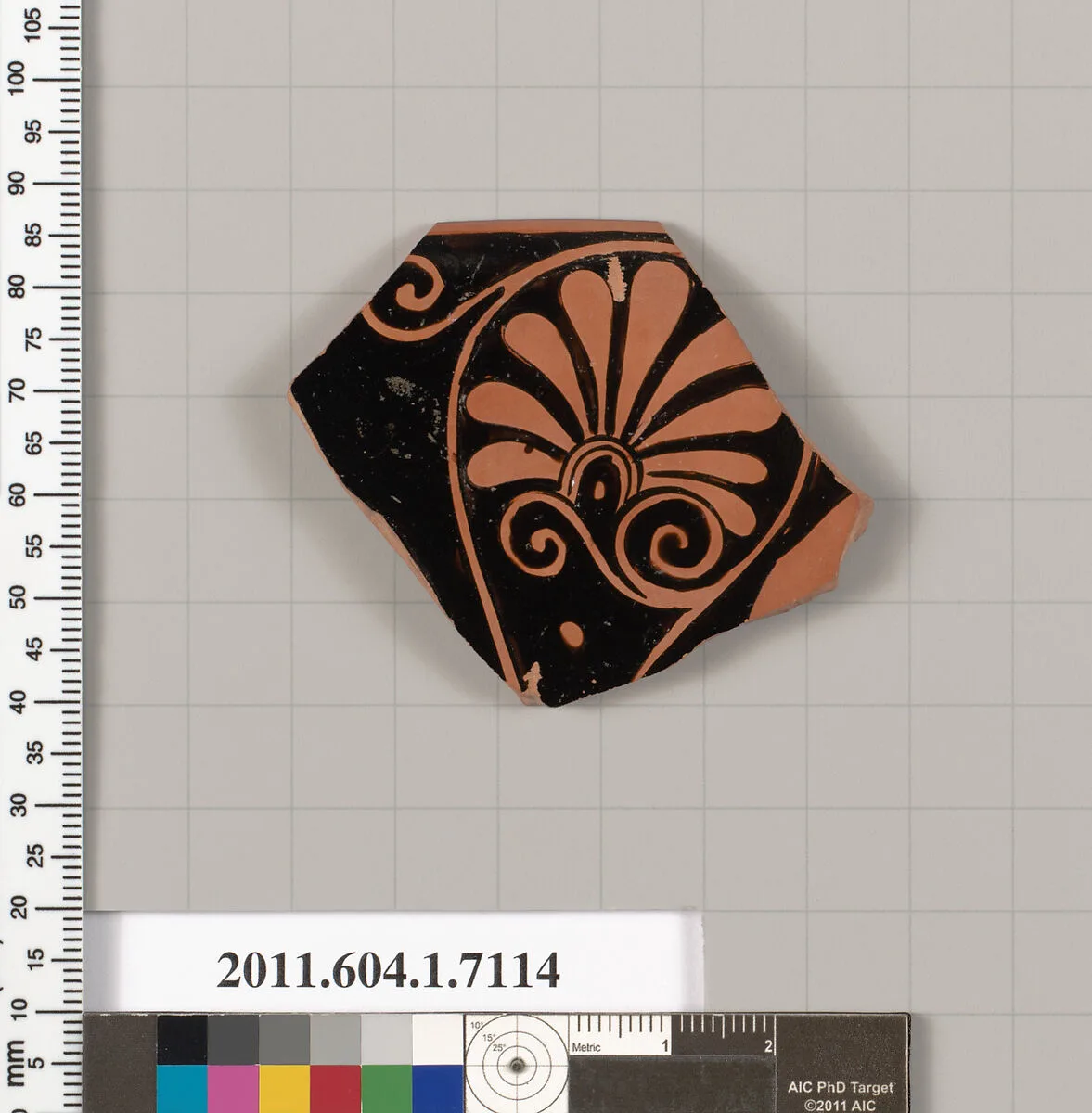Terracotta rim fragment of a kylix (drinking cup) — Unknown