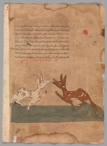 "Kalila and Dimna Discussing Dimna's Plans to Become a Confidante of the Lion", Folio from a Kalila wa Dimna
