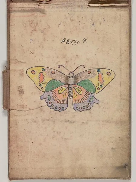 Tattoo Design for a Butterfly — Clark & Sellers