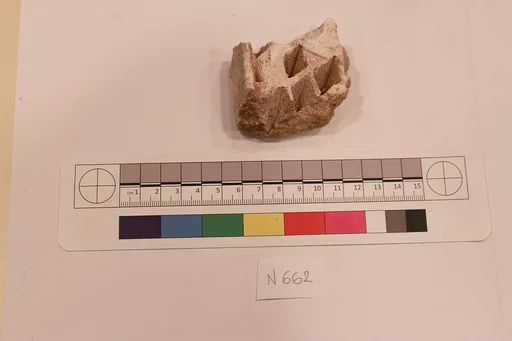 Stucco Fragment