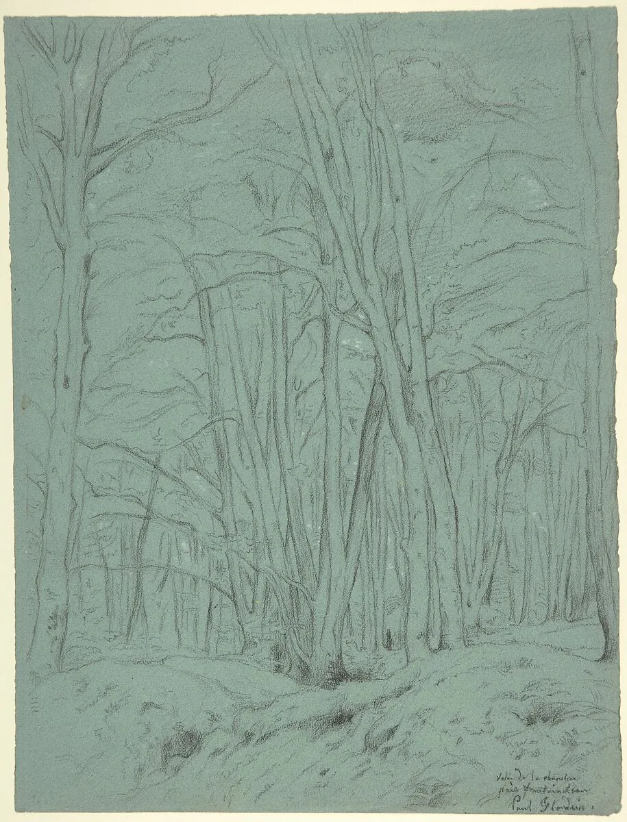 Forest View Near Fontainebleau — Paul Flandrin