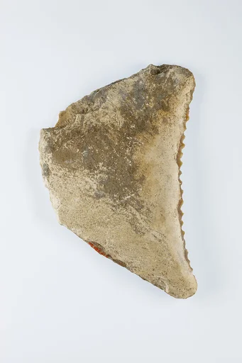 Sickle Insert