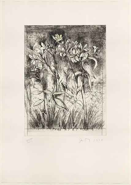 Superb Lilies — Jim Dine|Mitchell Friedman|Pace Prints|Deli Sacilotto