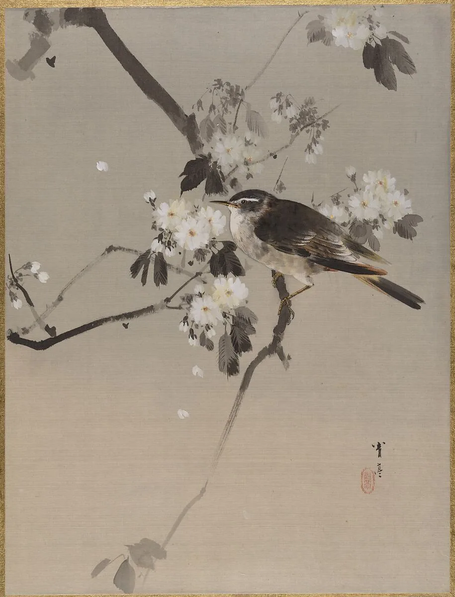 桜に小禽図|Birds on a Flowering Branch — Watanabe Seitei