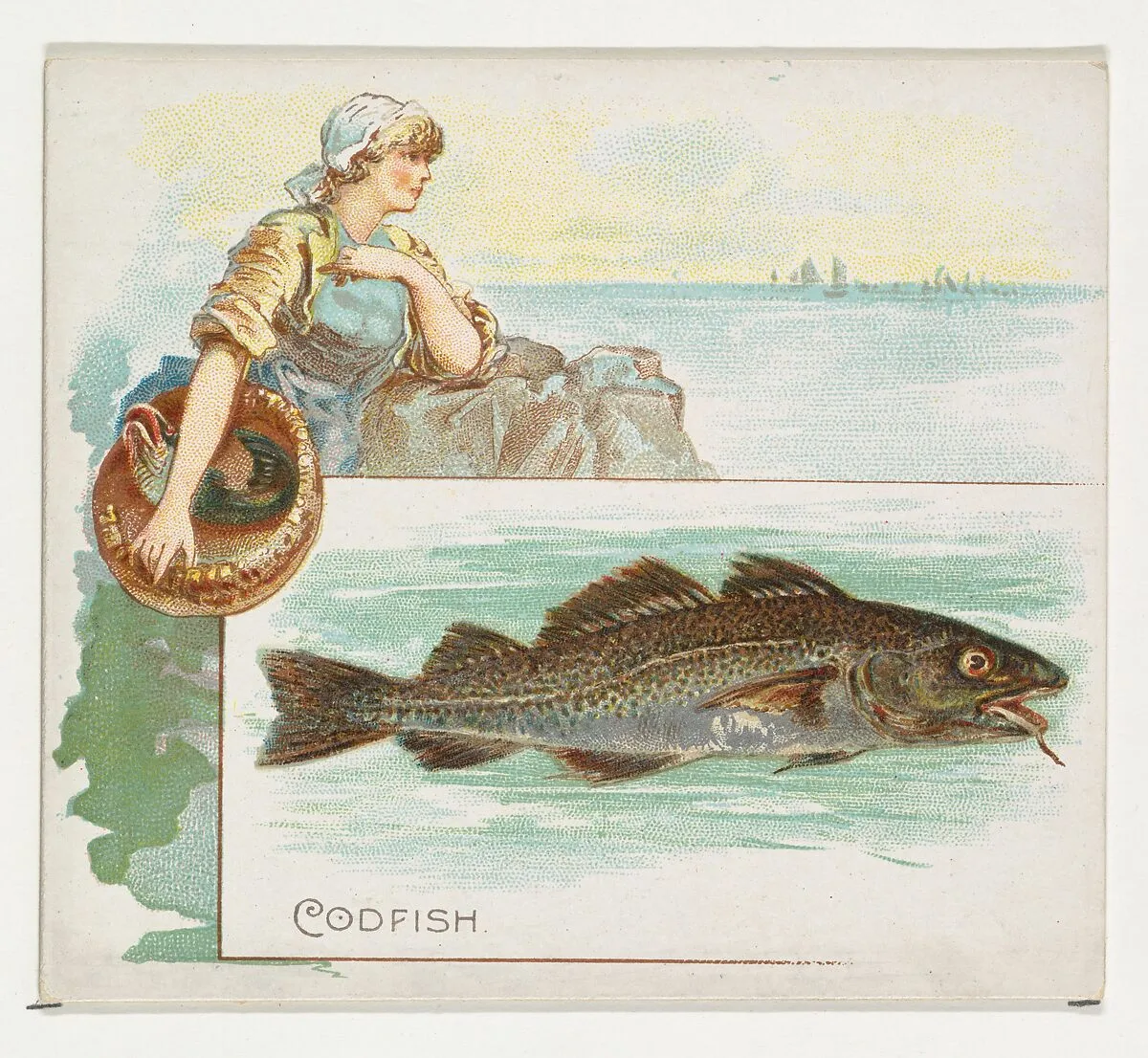 Codfish, from Fish from American Waters series (N39) for Allen & Ginter Cigarettes — Allen & Ginter|Lindner, Eddy & Claus
