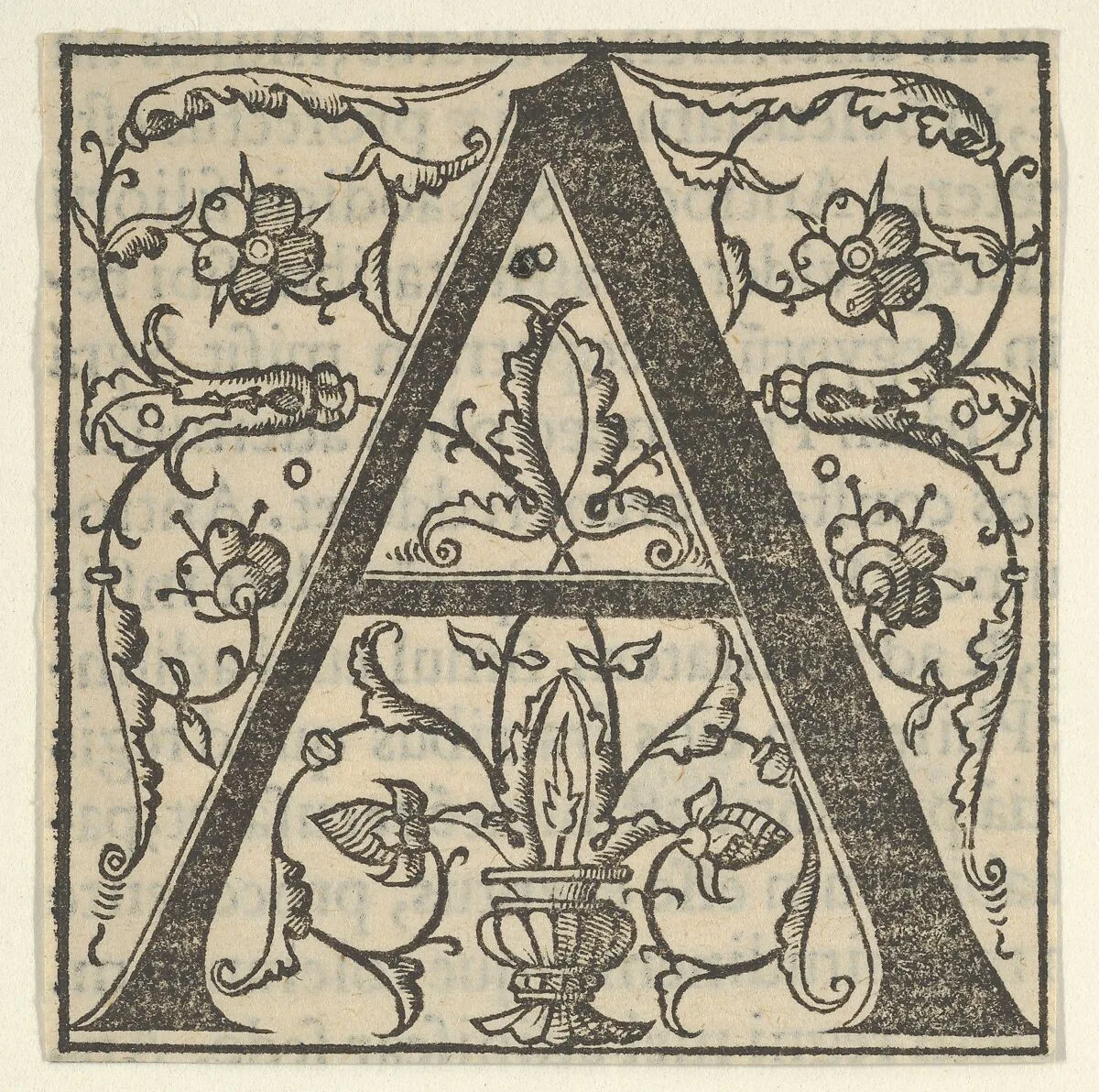 Initial letter A with garlands — Oronce Finé