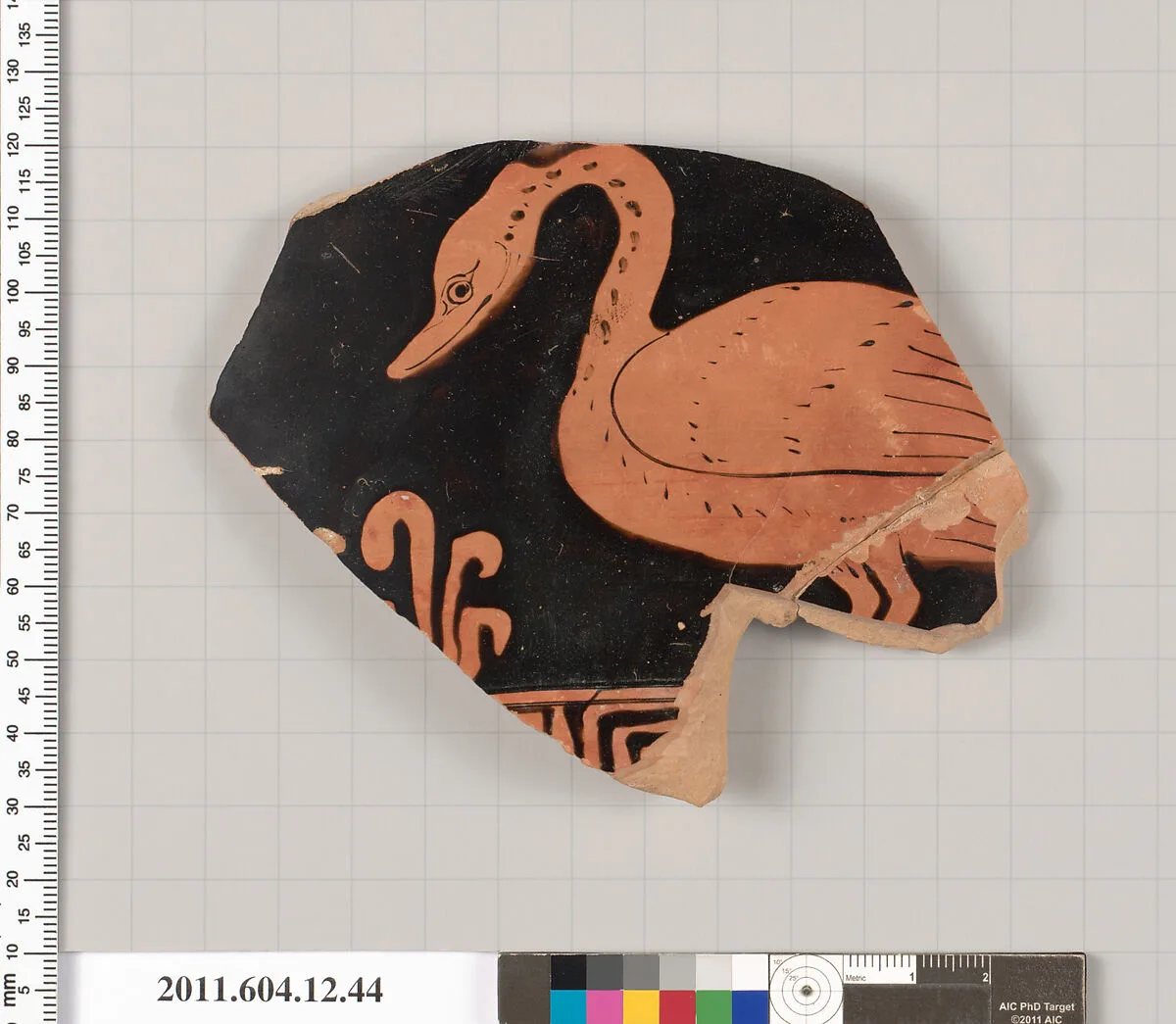 Terracotta fragment of a closed shape — Unknown