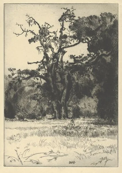 Dying White Oak — Ernest Haskell