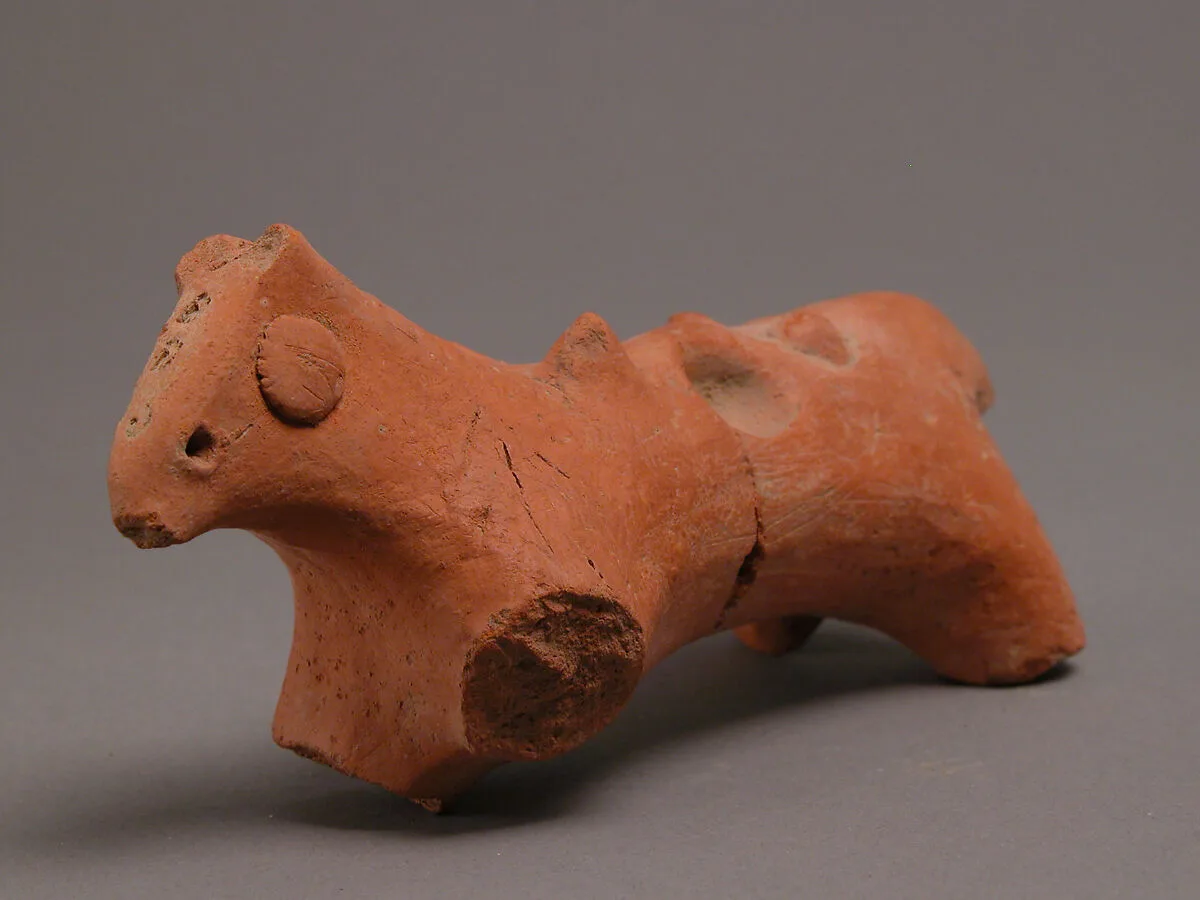 Animal — Unknown