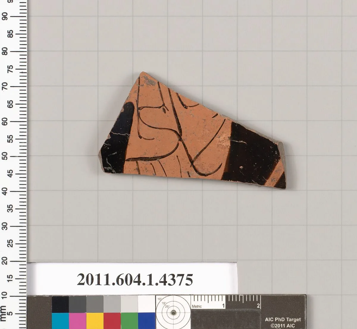 Terracotta fragment of a kylix (drinking cup) — Unknown
