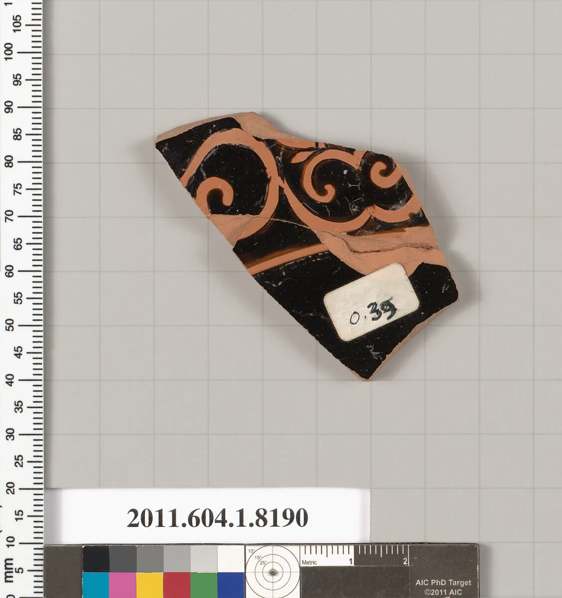 Terracotta fragment of a kylix (drinking cup) — Unknown