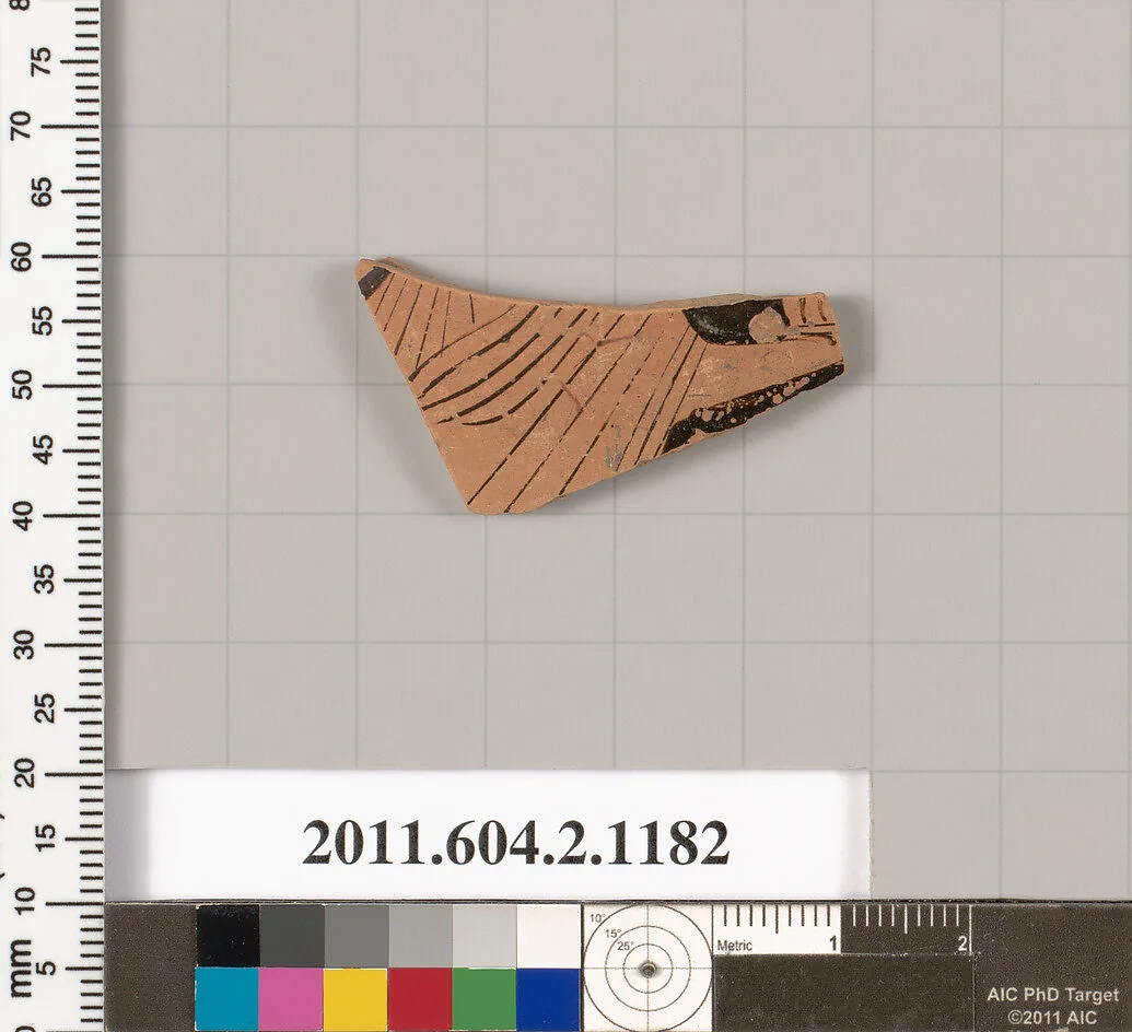 Terracotta fragment of a small, closed shape — Unknown