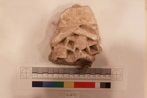 Stucco Fragment