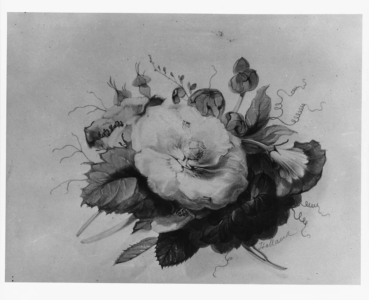 Flowers (from McGuire Scrapbook) — James Holland