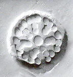 Stamp seal — Unknown