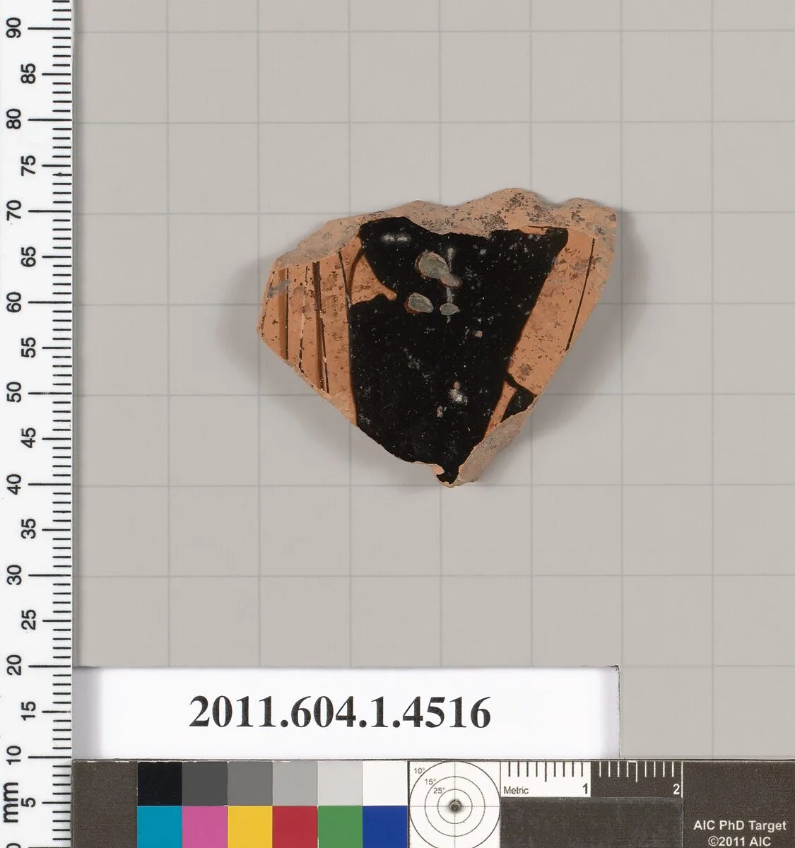 Terracotta fragment of a kylix (drinking cup) — Unknown