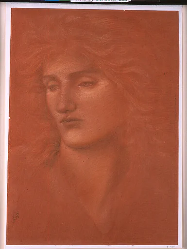 Study of a Female Head