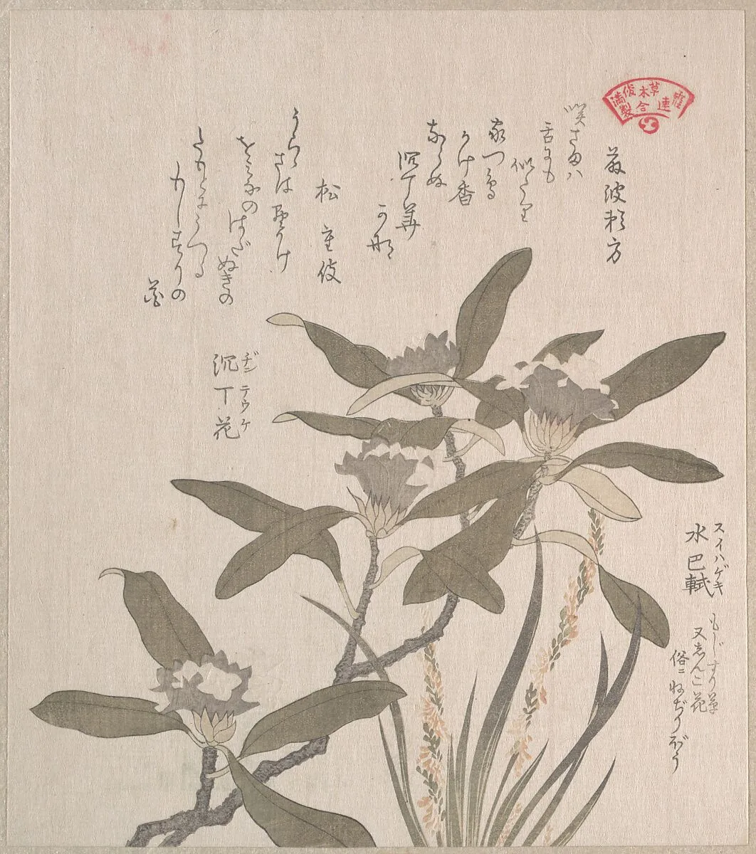 Untitled — Kubo Shunman