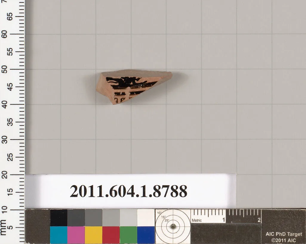 Terracotta fragment of a kylix (drinking cup) — Unknown
