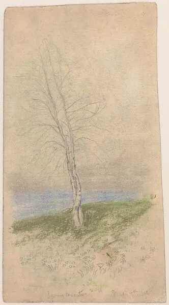 Spring Beauties — Arthur B. Davies