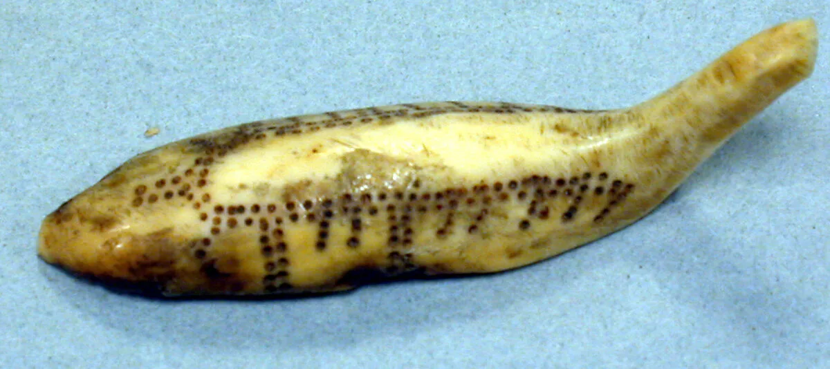 Walrus Ivory Loon — Unknown