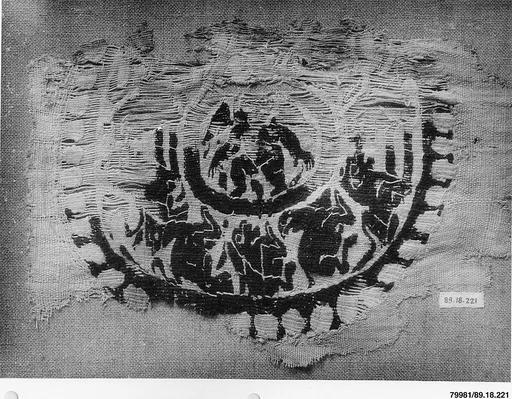 Textile Fragment