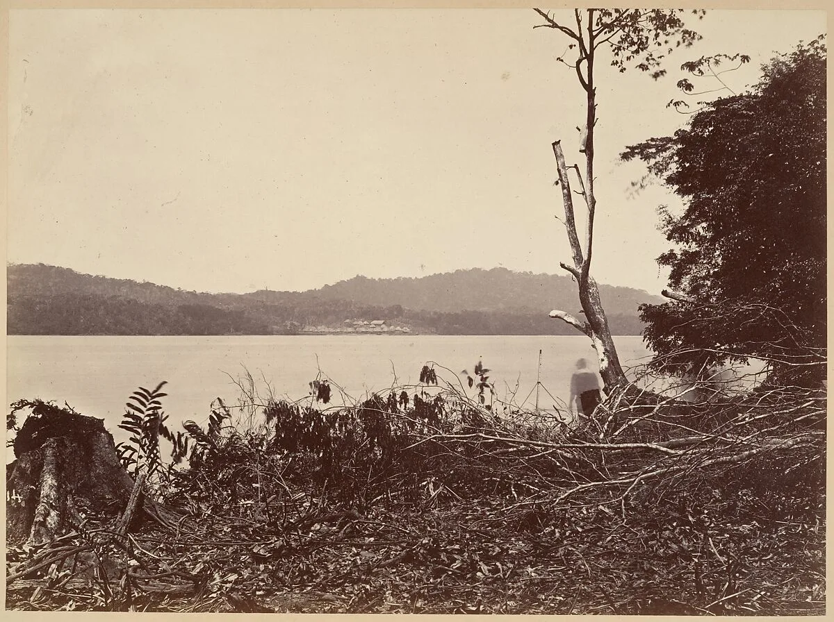 Tropical Scenery, Darien Harbor, Chipigana — John Moran