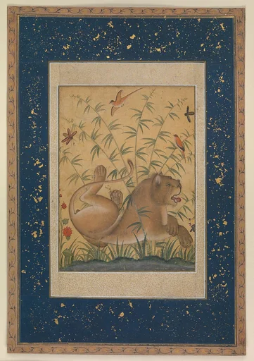 Lion at Rest