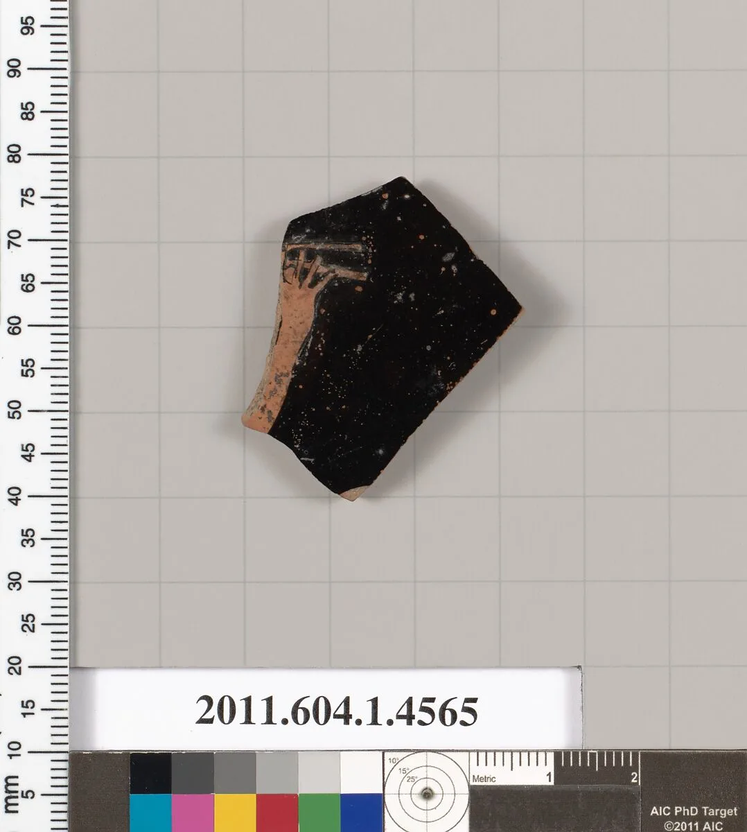 Terracotta fragment of a kylix (drinking cup) — Unknown
