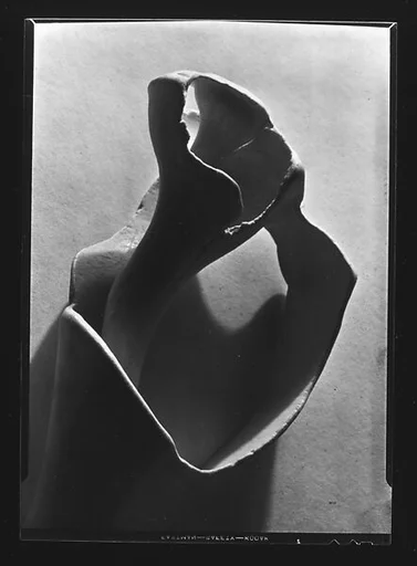 [Shell Study]