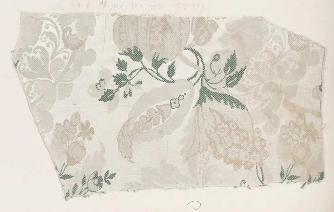 Fragment — Unknown