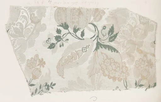 Fragment