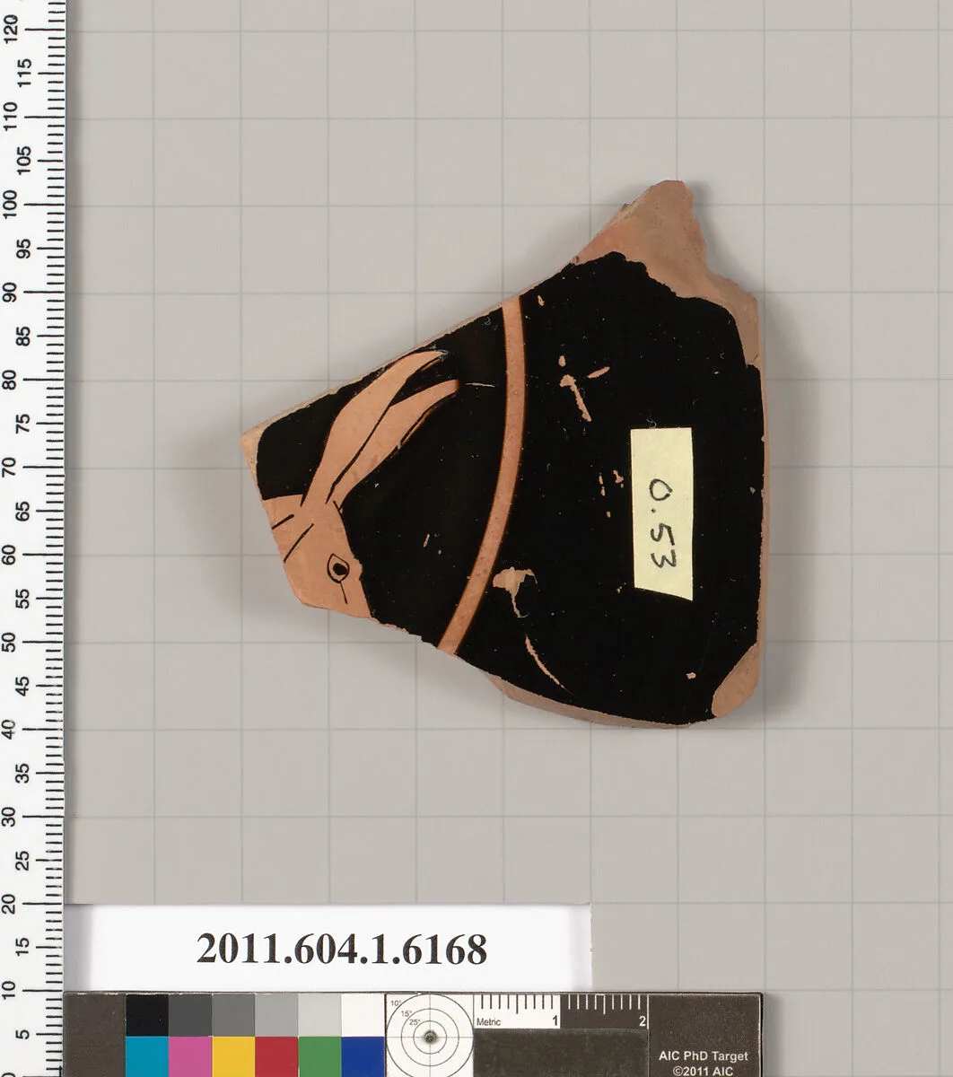 Terracotta fragment of a kylix (drinking cup) — Unknown